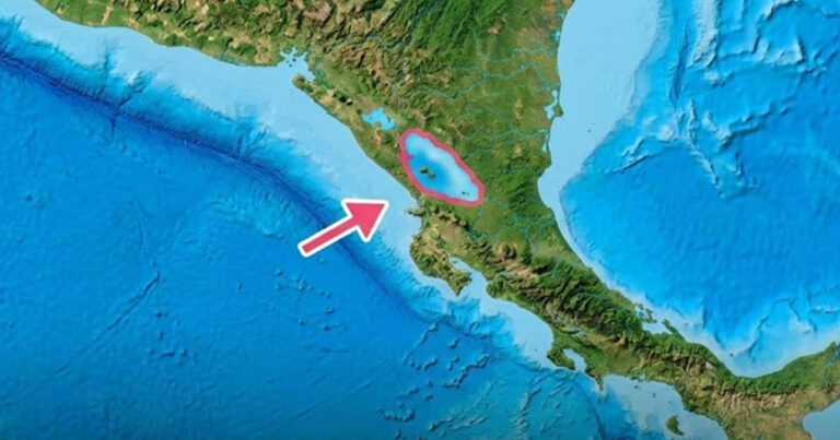 Nicaragua: A világ egyetlen tava, ahol vad cápák úsznak!