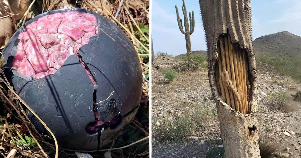 17 alkalom, amikor kíváncsi felfedezők valami érdekesre bukkantak a dolgok belsejében