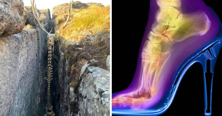 17 fotó, amit érdemes megnézni