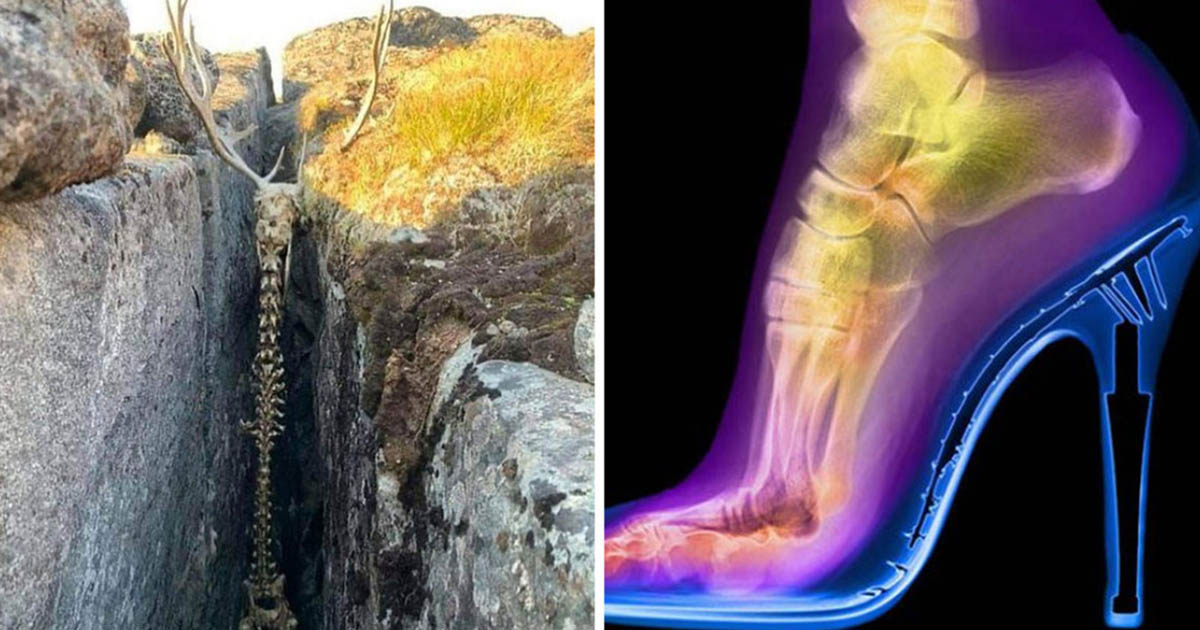 17 fotó, amit érdemes megnézni