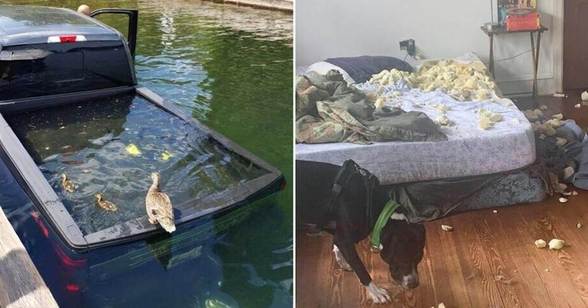 16 idegesítő helyzet, ami annyira drámai, hogy csak együttérezni tudsz velük