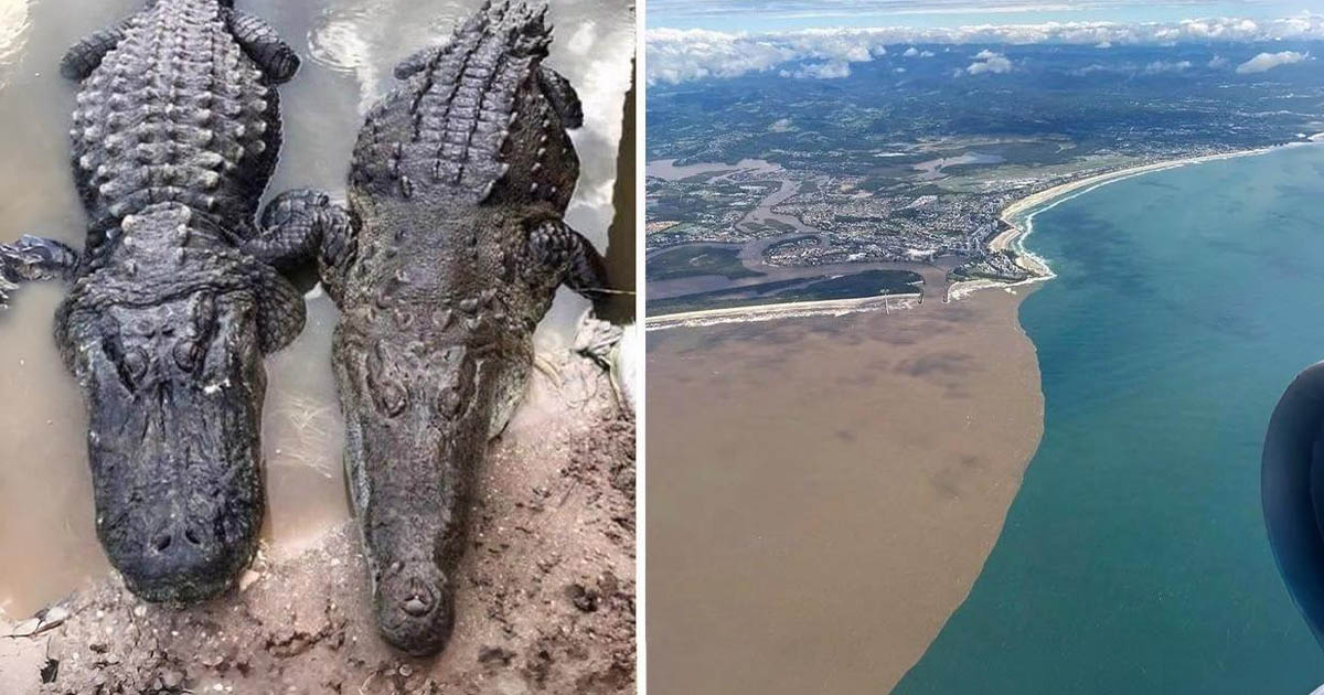 17 fénykép, amely bemutatja a jelenségek és a tárgyak közti nyilvánvaló különbséget