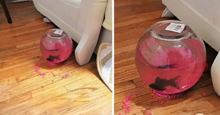 A Sors keze? 17 hihetetlen eset, ami megváltoztatja a hited