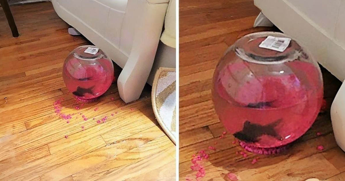 17 eset, amikor az emberek annyira szerencsések voltak, hogy hinni kezdtek a sorsban