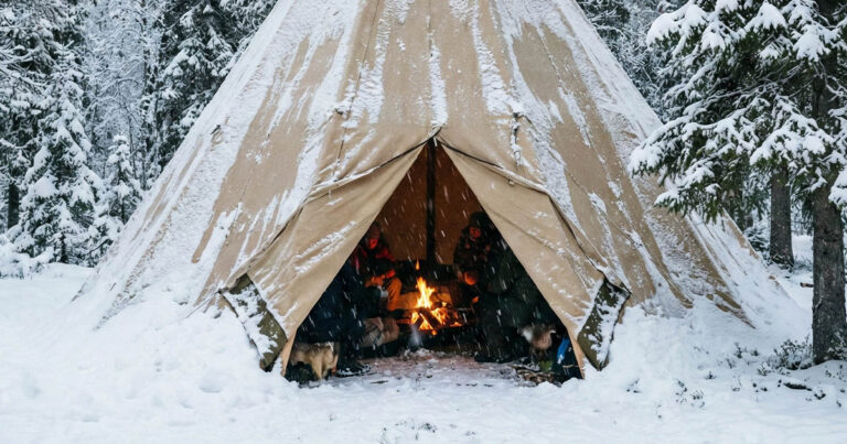 Északi titok: Miért égetnek nedves fát a száraz helyett?