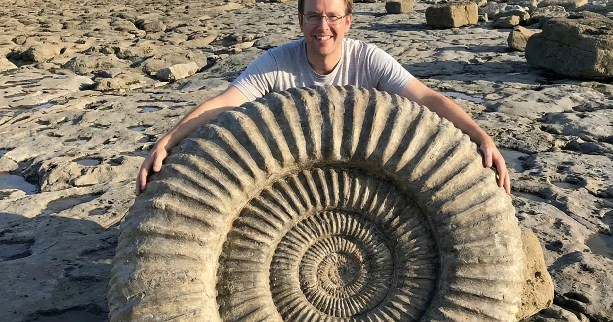 Egy ősi kagyló feltárta, milyen rövidek voltak a nappalok 70 millió évvel ezelőtt