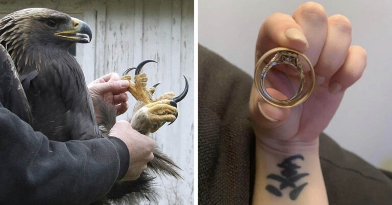 15 bizonyíték arra, hogy a fotókon a méretek nem mindig felelnek meg az általunk ismert világképnek