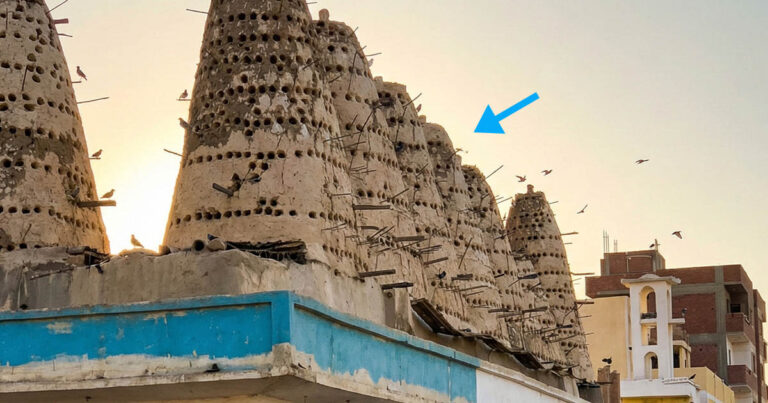 10+ tény az egyiptomi életről, amiről a turisták valószínűleg nem tudnak