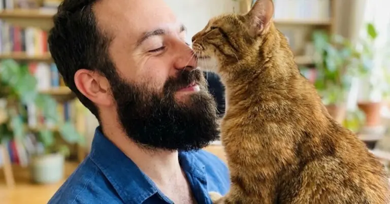 Miért mászik a macskád az arcodba: 7 jel, hogy több vagy számára, mint ember