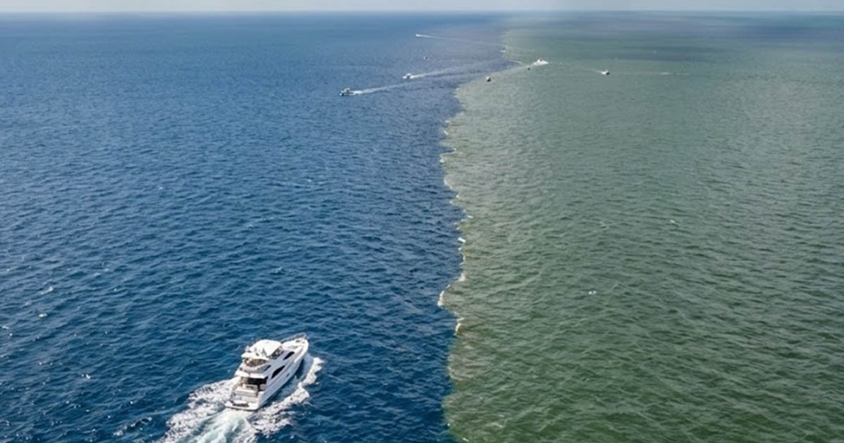 A haloklinhatás: mi akadályozza meg a Csendes-óceán és az Atlanti-óceán vizeinek keveredését?