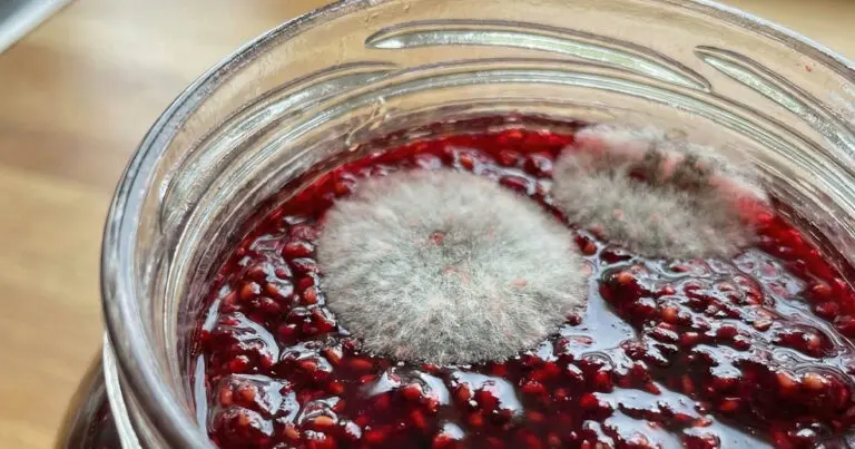 Ehetőek-e a penészes ételek, ha eltávolítjuk a penészt? Milyen lehetséges következményekkel járhat?