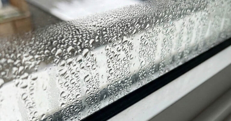 Penész és ablakpára: 5 ok, miért veszélyes és hogyan előzd meg!