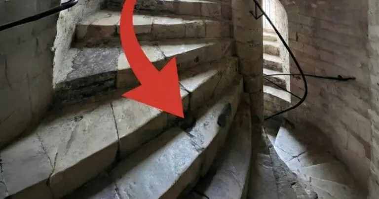 9 tény a középkorról, ami bizonyítja, hogy a történelem érdekesebb, mint bármelyik Trónok harca epizód