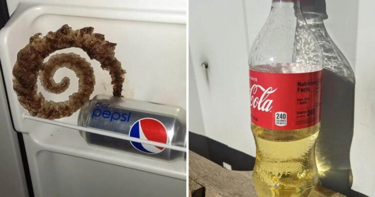 19 váratlan felfedezés, ami miatt az emberek szóhoz sem jutottak, és azonnal siettek megosztani a világgal