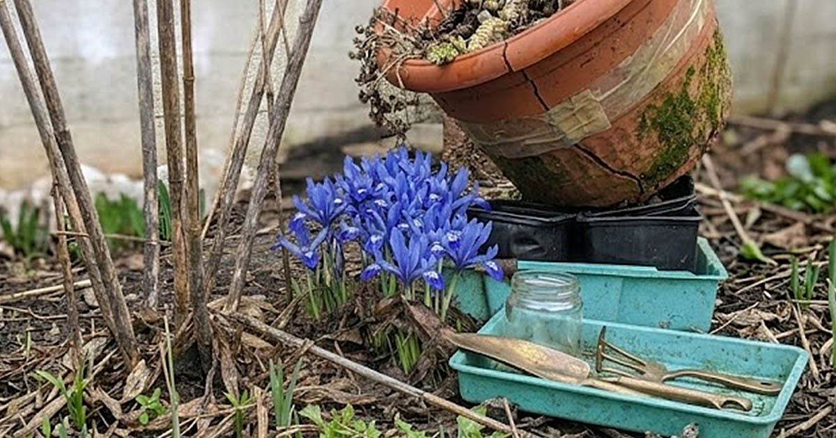 Rossz szokások: Öt ok, amiért soha nem lesz szép kerted