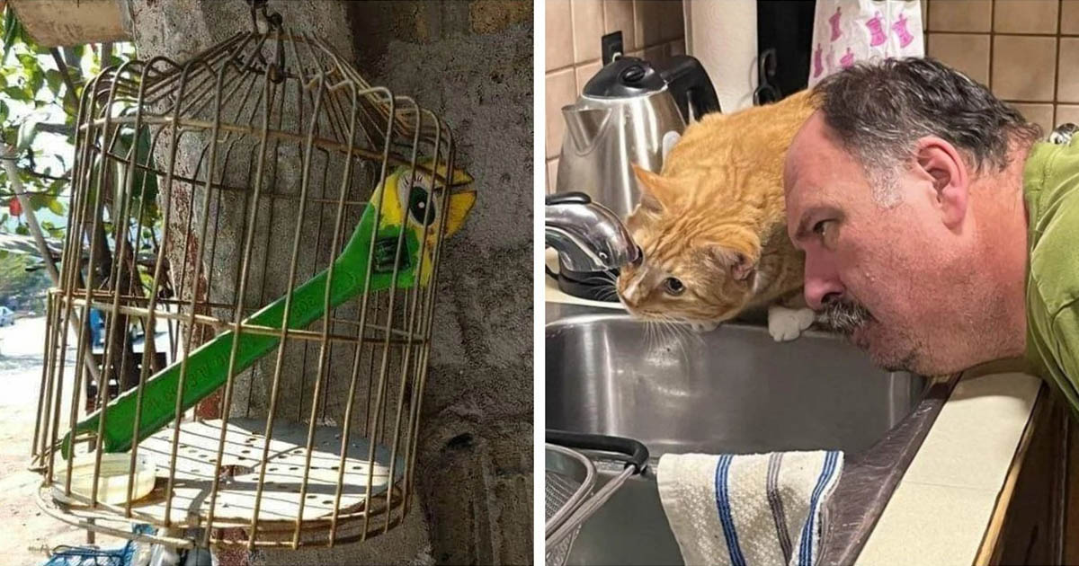 28 fényképes bizonyíték arra, hogy az Univerzumnak kiváló humorérzéke van